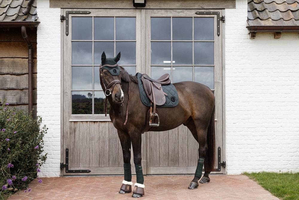 Warmblood sizes